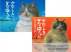 【セット商品】創作童話   かなしきデブ猫ちゃん 1巻2巻セット